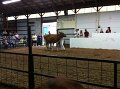 IMG_0765